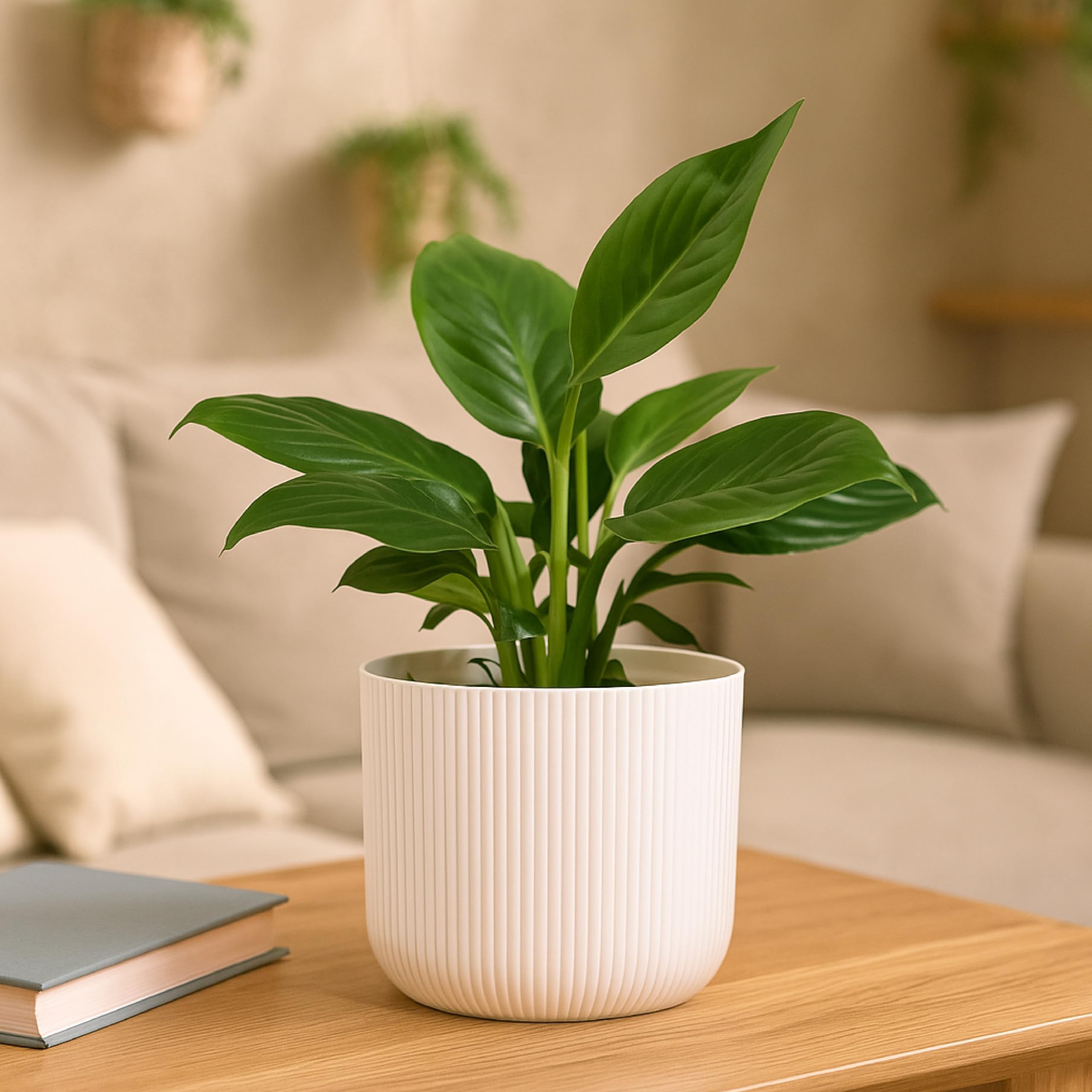 Peace Lily Plant in White Ibiza Pot | Indoor Flowering Air-Purifying Plant for Home, Bedroom & Living Room Decor